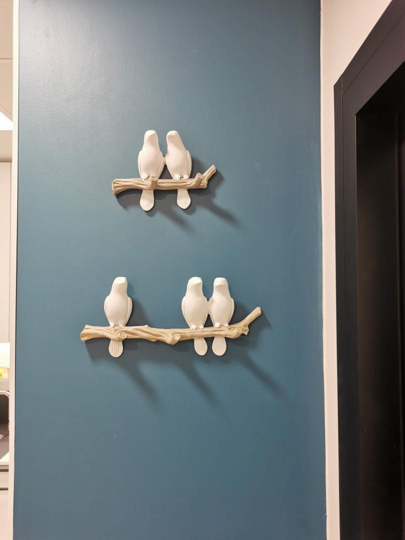 Oiseau st&eacute;rilisation 